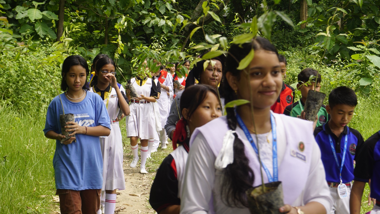 Tree Plantation Day 2024