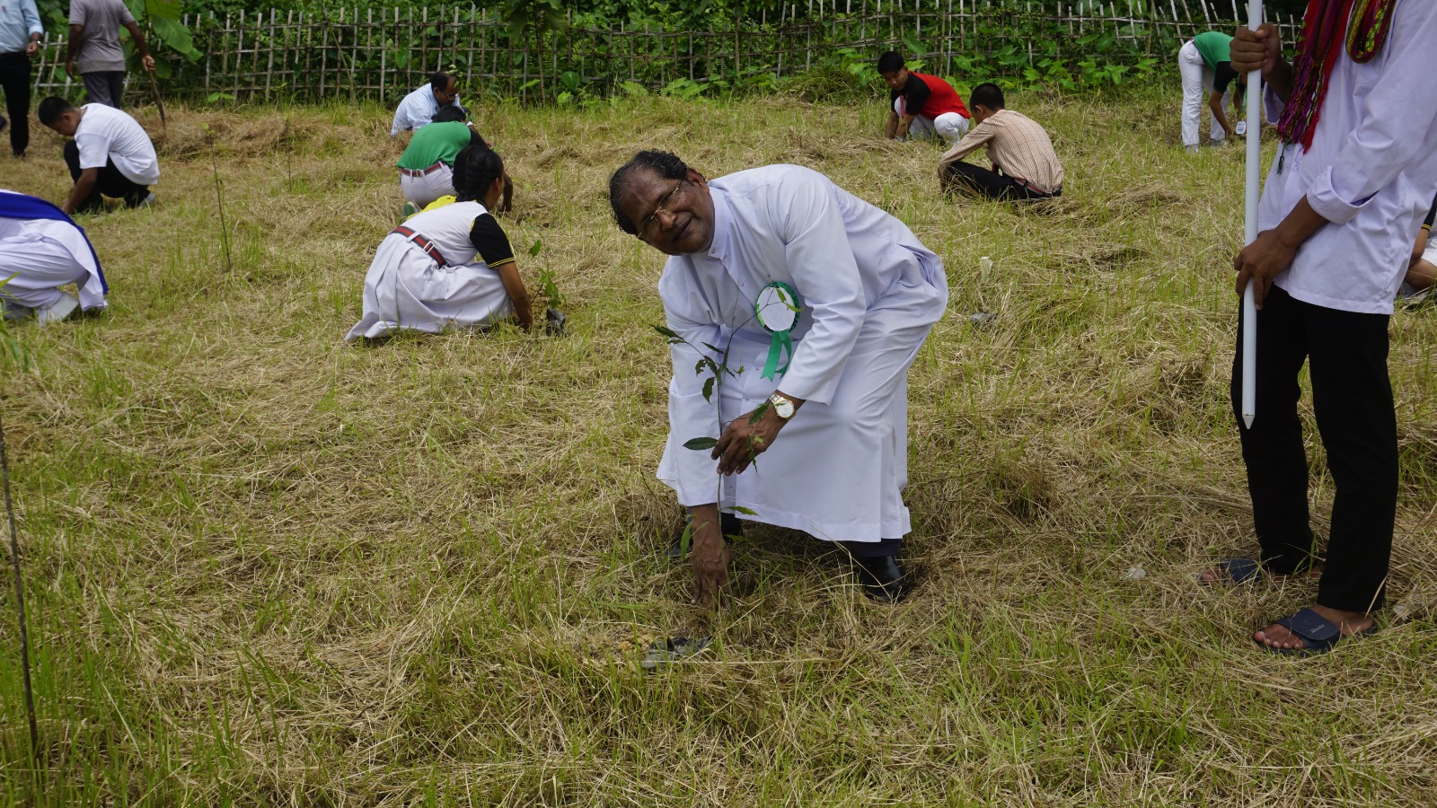 Tree Plantation Day 2024